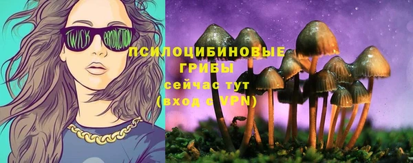 винт Гусев