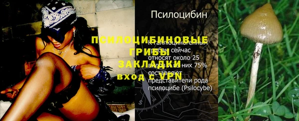 кокаин Новозыбков