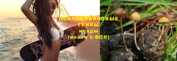 амфетамин Гусь-Хрустальный