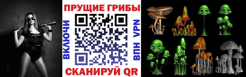 Купить  Кологрив  Галлюциногенные грибы мухоморы 